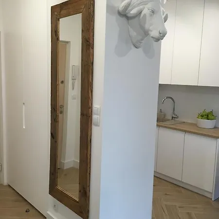 科尔斯卡公寓 *