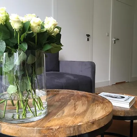 科尔斯卡公寓 *